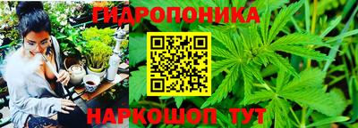 каннабис Кандалакша