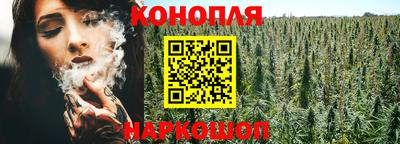 ГАЛЛЮЦИНОГЕННЫЕ ГРИБЫ Канаш