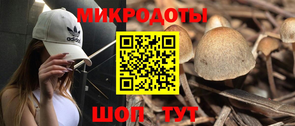 Дзержинский  Псилоцибиновые грибы GOLDEN TEACHER  Вход с VPN 